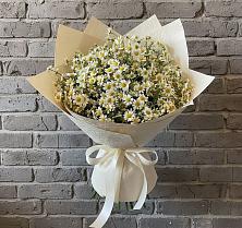 Букет цветов из:  Ромашки в Правдинском