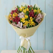 Букет цветов из:  Альстромерии #REPLACE_PRED# Правдинском