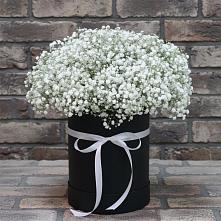 Цветочная композиция из Гипсофила в шляпной коробке в Правдинском